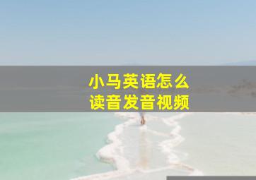 小马英语怎么读音发音视频