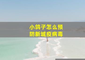 小鸽子怎么预防新城疫病毒