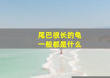 尾巴很长的龟一般都是什么