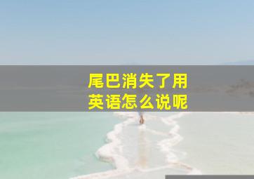 尾巴消失了用英语怎么说呢