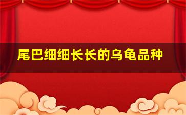 尾巴细细长长的乌龟品种