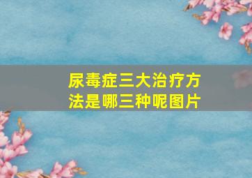 尿毒症三大治疗方法是哪三种呢图片