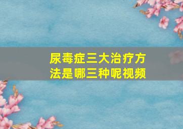 尿毒症三大治疗方法是哪三种呢视频