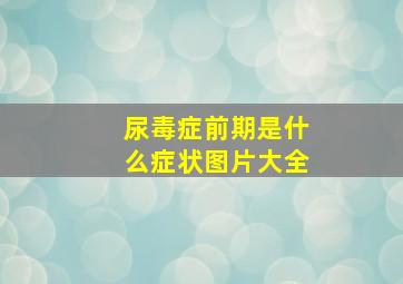 尿毒症前期是什么症状图片大全