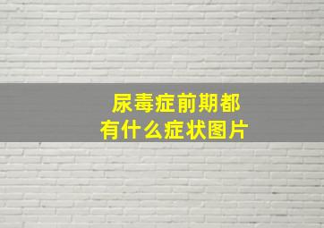 尿毒症前期都有什么症状图片