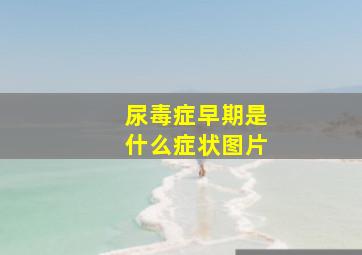 尿毒症早期是什么症状图片