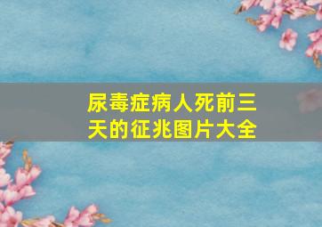 尿毒症病人死前三天的征兆图片大全