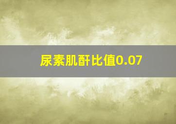 尿素肌酐比值0.07