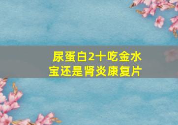 尿蛋白2十吃金水宝还是肾炎康复片