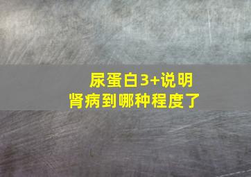 尿蛋白3+说明肾病到哪种程度了