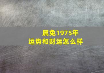 属兔1975年运势和财运怎么样