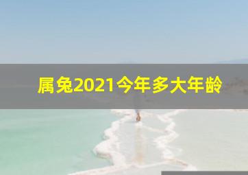 属兔2021今年多大年龄