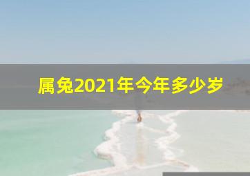 属兔2021年今年多少岁