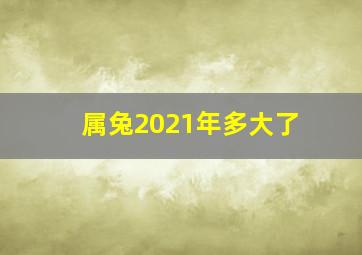 属兔2021年多大了