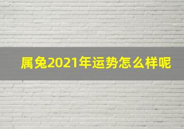 属兔2021年运势怎么样呢