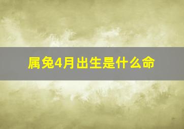 属兔4月出生是什么命