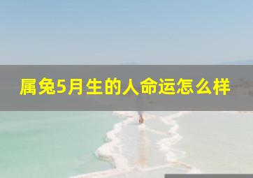 属兔5月生的人命运怎么样