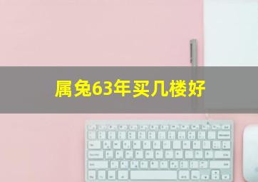 属兔63年买几楼好