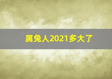 属兔人2021多大了