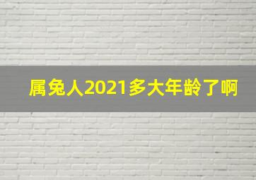 属兔人2021多大年龄了啊