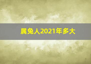 属兔人2021年多大