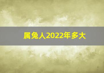 属兔人2022年多大