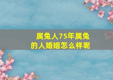 属兔人75年属兔的人婚姻怎么样呢