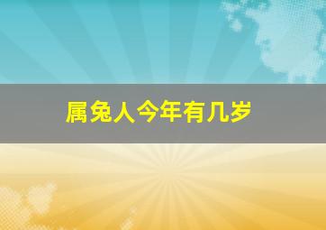 属兔人今年有几岁