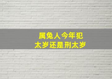 属兔人今年犯太岁还是刑太岁