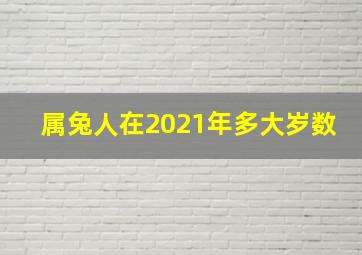 属兔人在2021年多大岁数