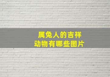 属兔人的吉祥动物有哪些图片