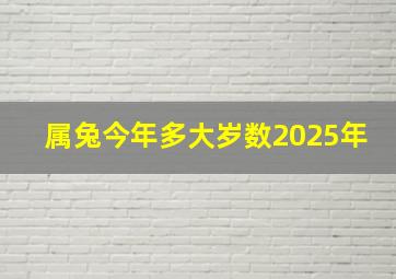 属兔今年多大岁数2025年