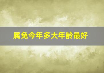 属兔今年多大年龄最好