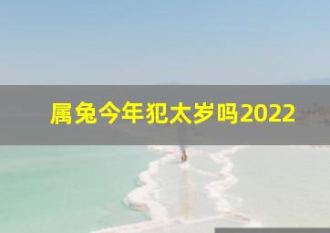 属兔今年犯太岁吗2022