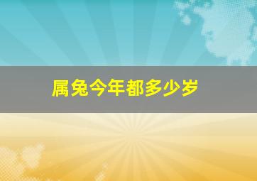 属兔今年都多少岁