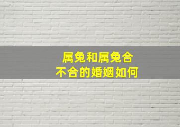 属兔和属兔合不合的婚姻如何