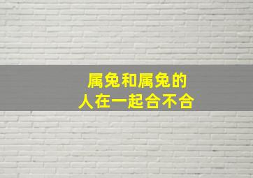 属兔和属兔的人在一起合不合