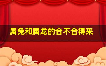 属兔和属龙的合不合得来