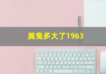 属兔多大了1963