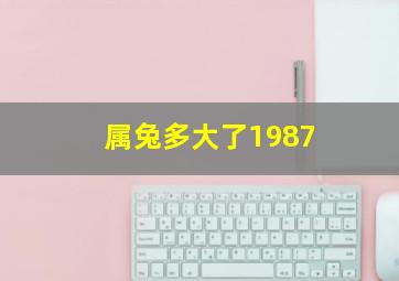 属兔多大了1987