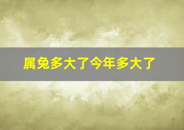 属兔多大了今年多大了