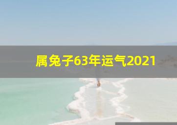 属兔子63年运气2021