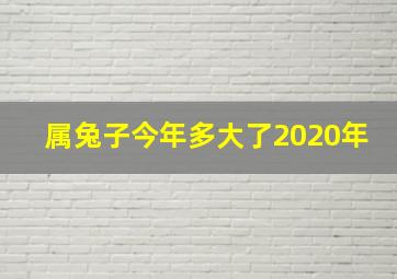 属兔子今年多大了2020年