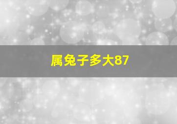 属兔子多大87