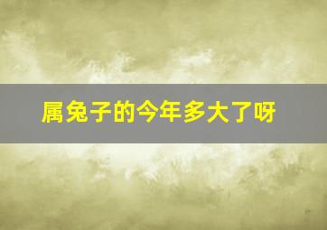 属兔子的今年多大了呀