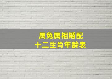 属兔属相婚配十二生肖年龄表