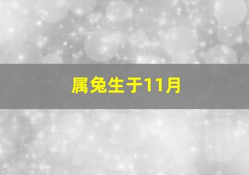 属兔生于11月