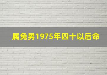 属兔男1975年四十以后命