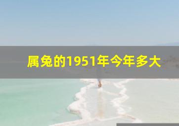 属兔的1951年今年多大