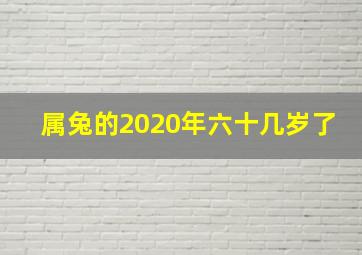 属兔的2020年六十几岁了